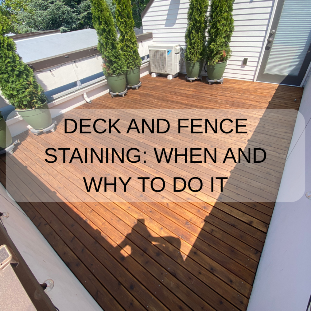 Deck and Fence Staining: When and Why It’s Essential for Your Home’s Longevity